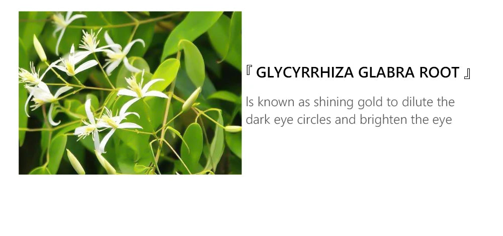 Glycyrrhiza glabra root plant with white flowers used in Vibrant Glamour facial care duo for brightening eyes
